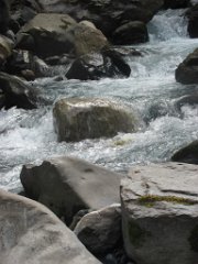 Gael_107
