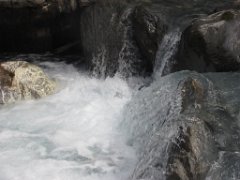 Gael_109