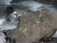 Gael_110
