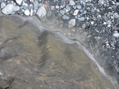 Gael_111