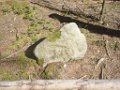 antoiner_026