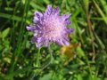 gaetan_034