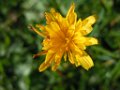 justine_047