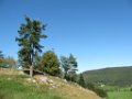 marin_024