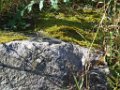 sebastien_002