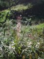 sebastien_020