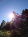 sebastien_022
