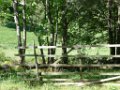 sonia_057