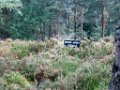 charlotte_044