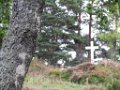 florine_060