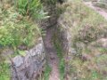gael_w_038