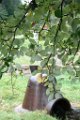 z_alexis_065