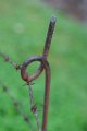 z_olivier_009