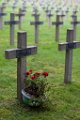 z_olivier_052