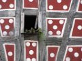 z_nadege_232