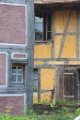 z_olivier_128