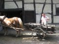 gaetan_084