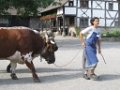 gaetan_088