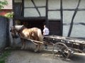 sebastien_117