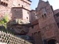 charlotte_174b