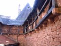 charlotte_180b