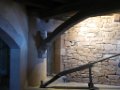 gael_w_194