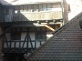 laura_436