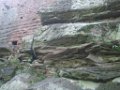 laura_579