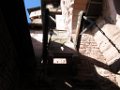 simon_296