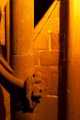 z_olivier_176