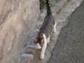 sebastien_220