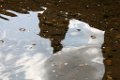 z_alexis_191