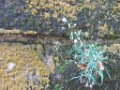 z_nadege_284