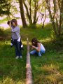 hugo_087
