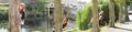 florine_panorama1