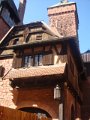 audrey_377