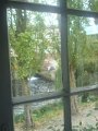 emilie_002