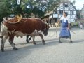 emilie_009
