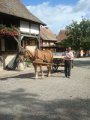 emilie_012