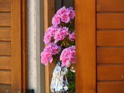 aaricia_018