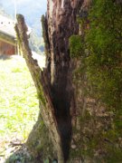 diego_049