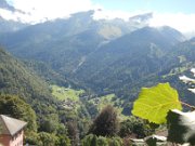 nedim_006