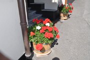 thomas_029