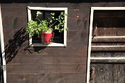 z_nouss_083