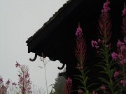 aaricia_058