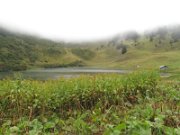 diego_074