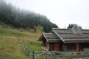 laura_102