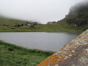 melissa_082