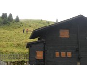 nedim_037
