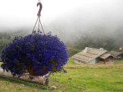 nedim_054